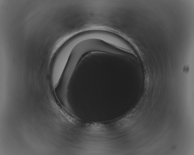 X0000088881319200707061401