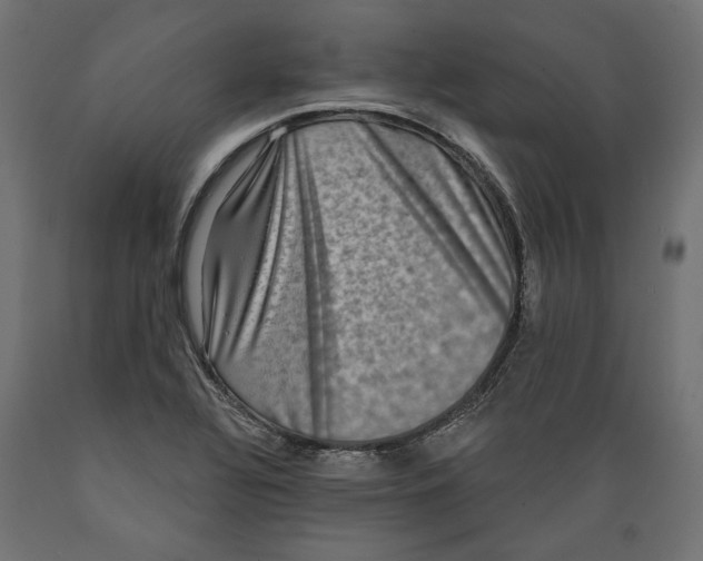 X0000088881320200707061401