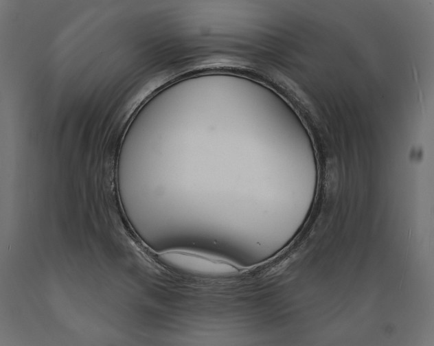 X0000088881321200707061401