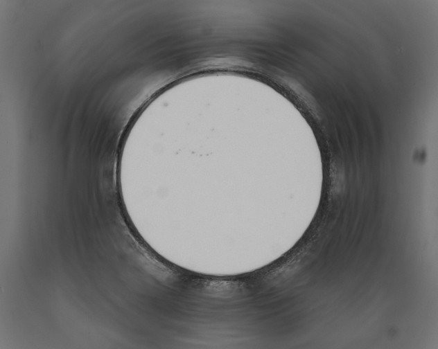 X0000088881322200707061401