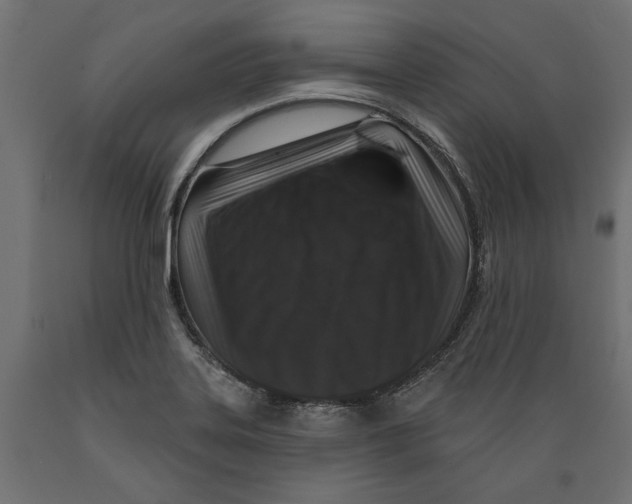 X0000088881323200707061401