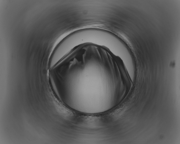X0000088881324200707061401