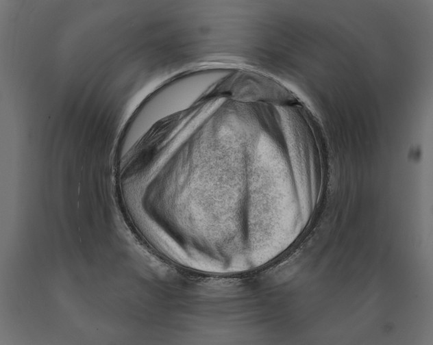 X0000088881325200707061401
