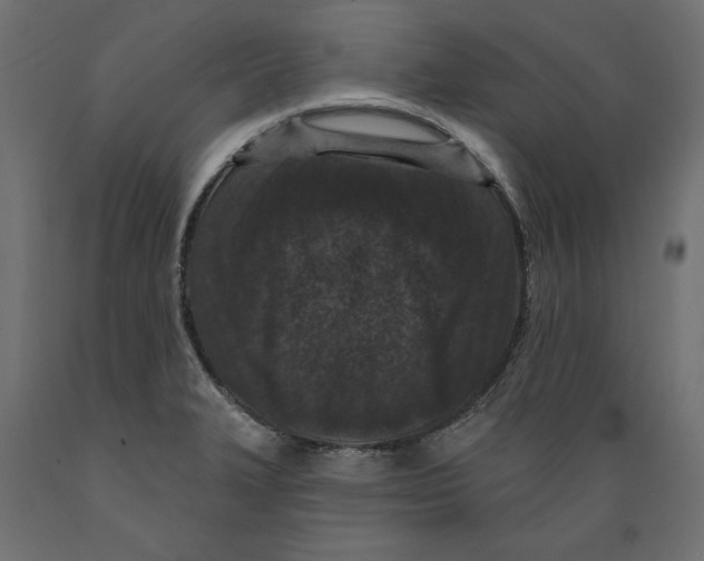 X0000088881327200707061401