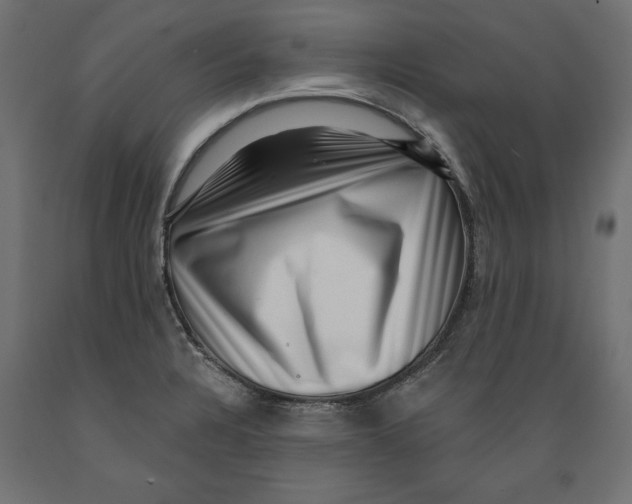 X0000088881328200707061401