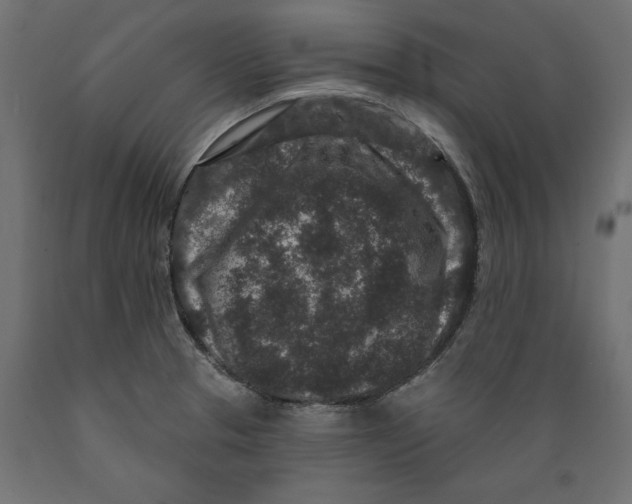 X0000088881329200707061401