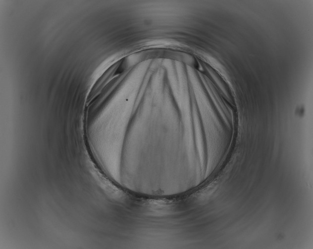 X0000088881330200707061401