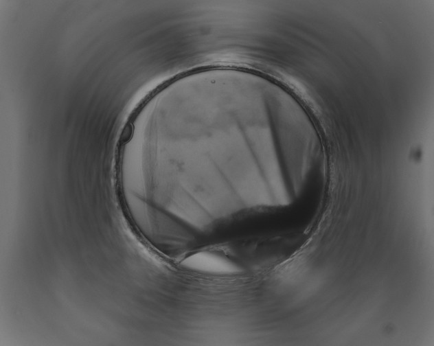 X0000088881331200707061401