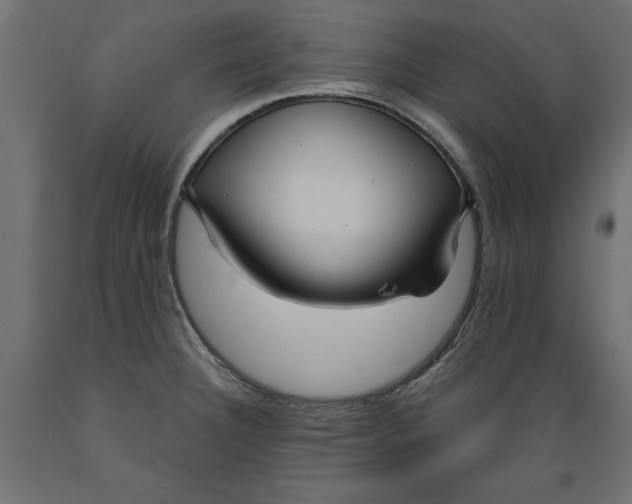 X0000088881332200707061401