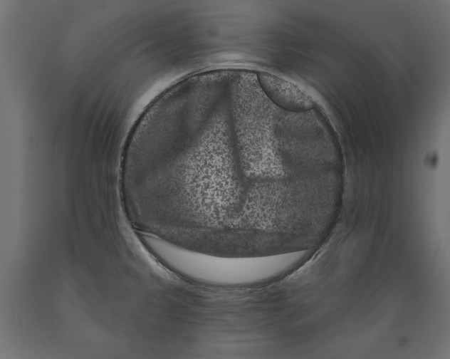 X0000088881333200707061401