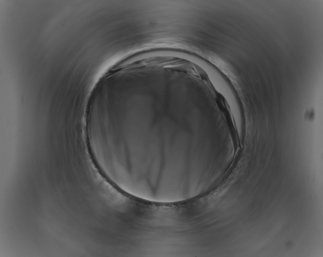 X0000088881334200707061401