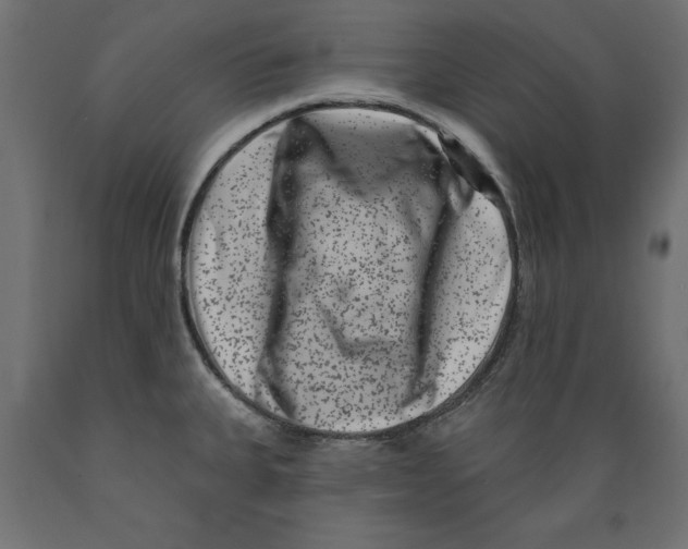 X0000088881335200707061401