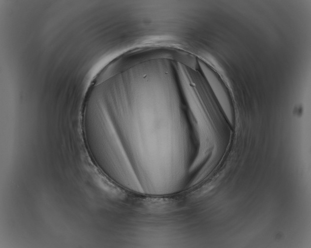 X0000088881336200707061401