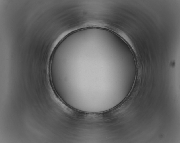 X0000088881339200707061401