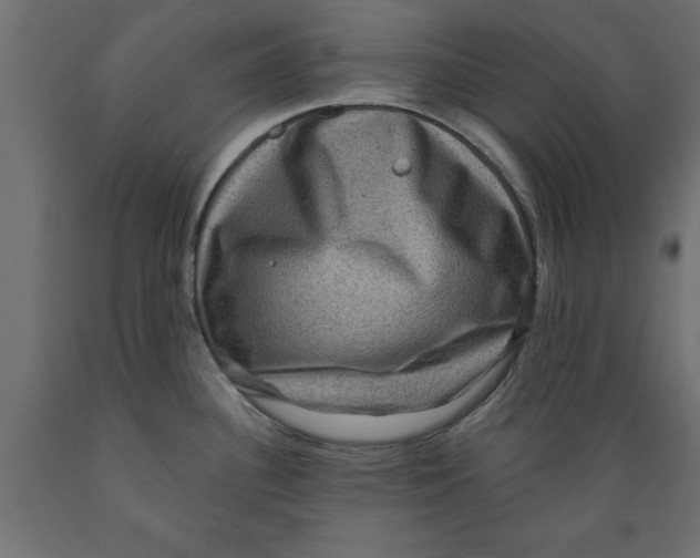 X0000088881340200707061401