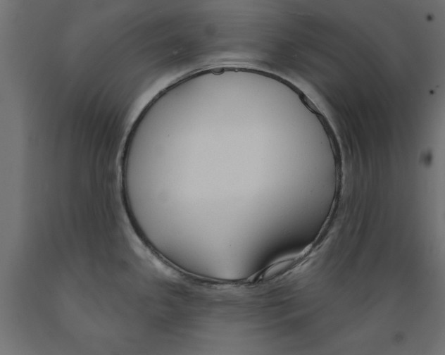 X0000088881341200707061401