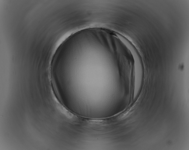 X0000088881342200707061401