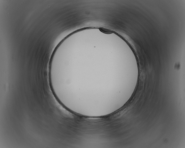 X0000088881343200707061401