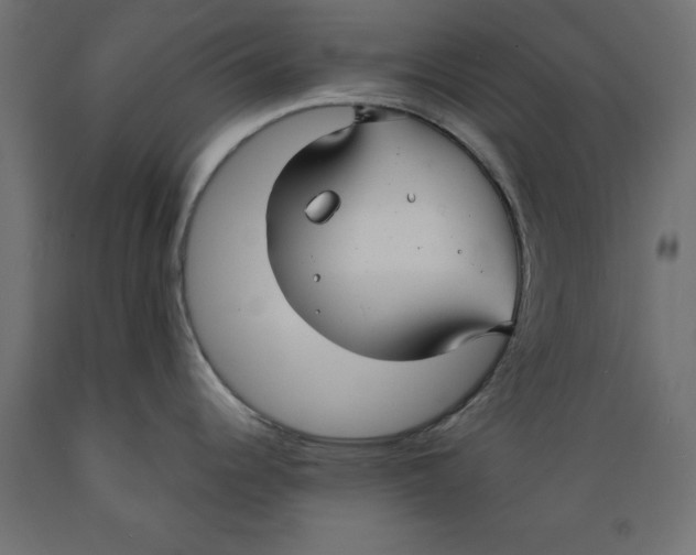 X0000088881344200707061401