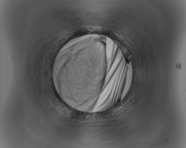X0000088881345200707061401