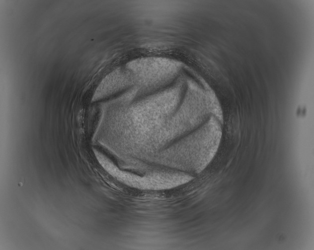X0000088881346200707061401
