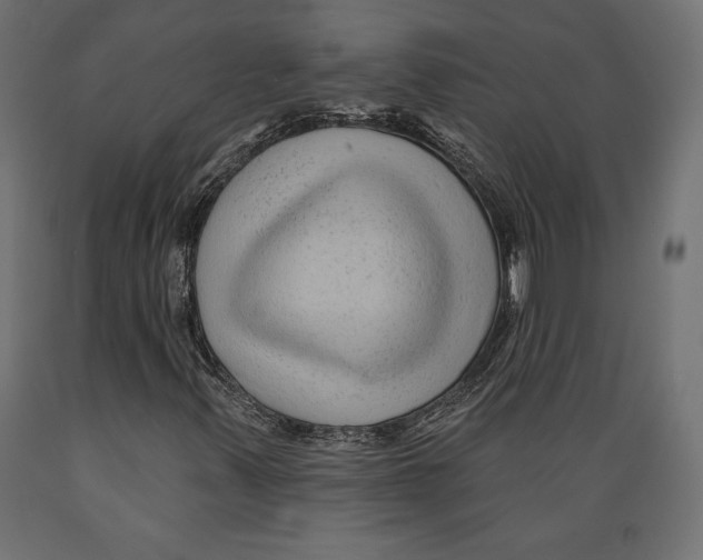 X0000088881347200707061401