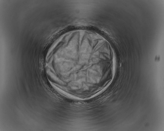 X0000088881348200707061401