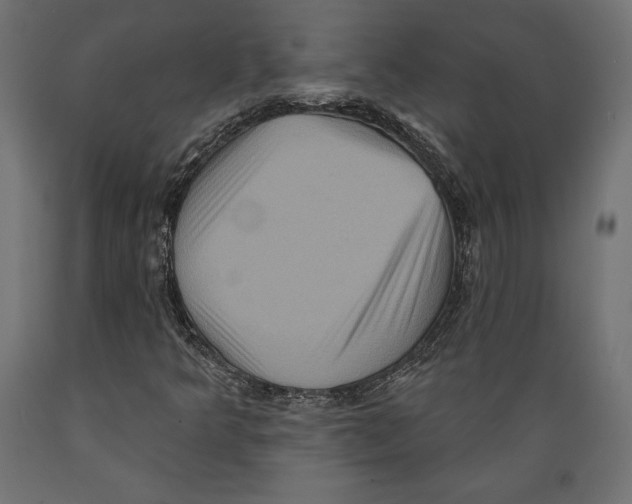X0000088881349200707061401