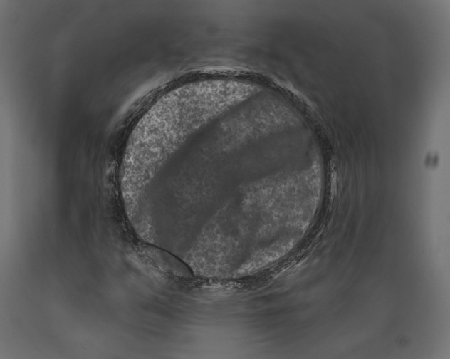 X0000088881351200707061401