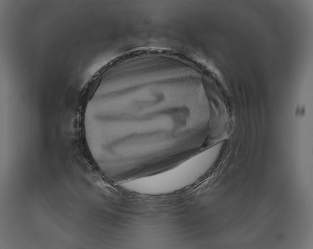 X0000088881352200707061401