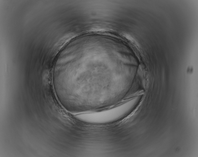X0000088881353200707061400