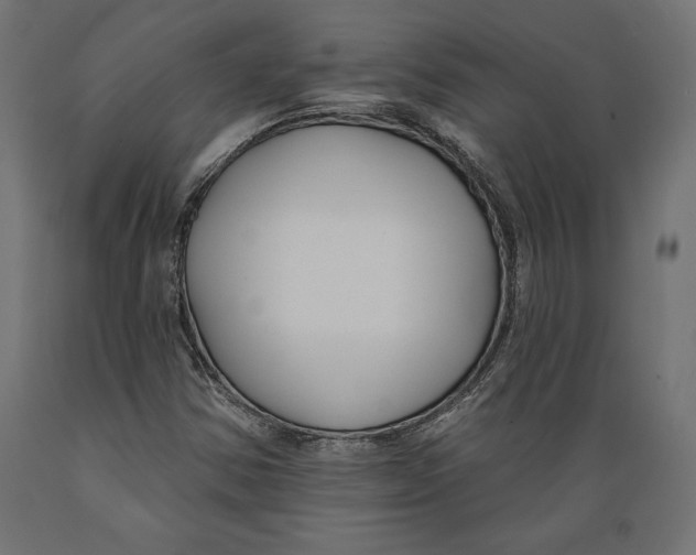 X0000088881354200707061400