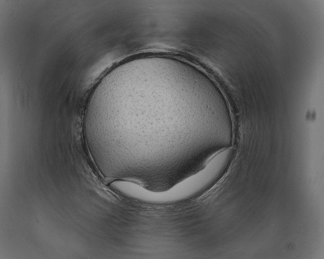 X0000088881355200707061400