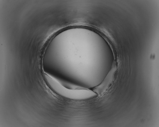 X0000088881356200707061400