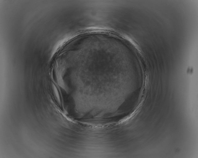X0000088881357200707061400