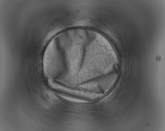 X0000088881358200707061400