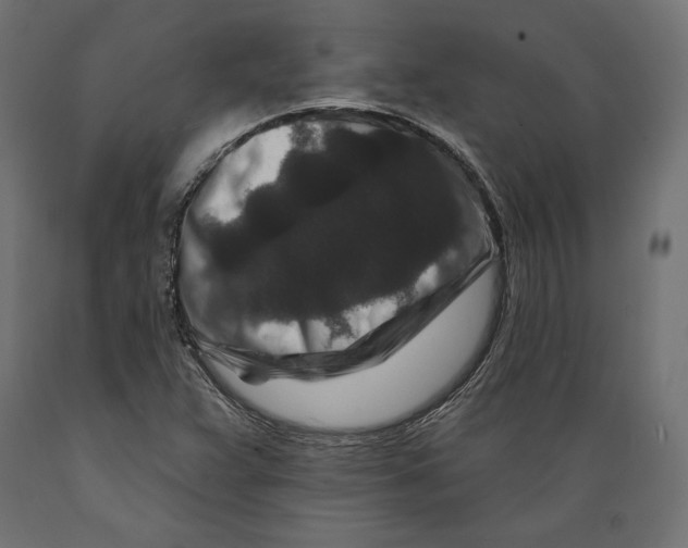 X0000088881359200707061400