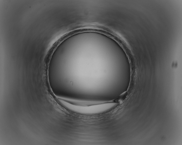 X0000088881360200707061400
