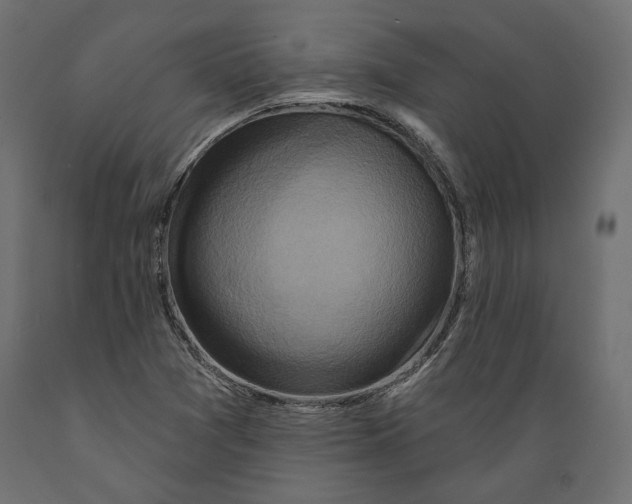 X0000088881361200707061400