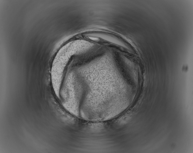 X0000088881363200707061400
