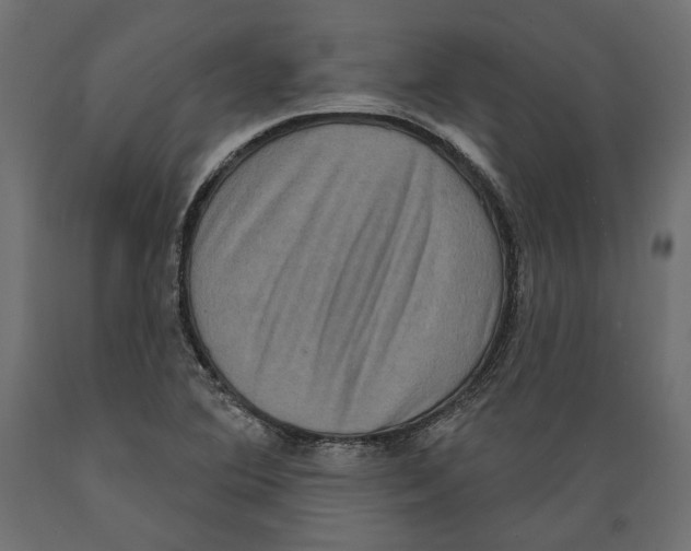 X0000088881364200707061400