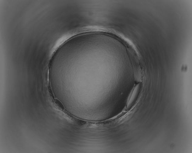 X0000088881365200707061400