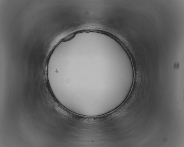 X0000088881366200707061400