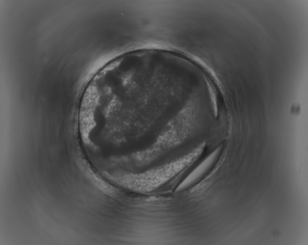 X0000088881367200707061400