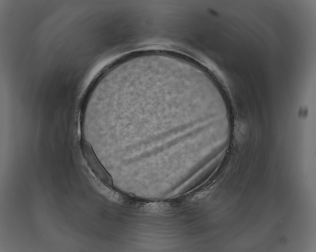 X0000088881368200707061400