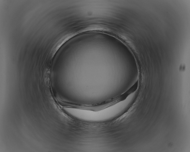 X0000088881369200707061400