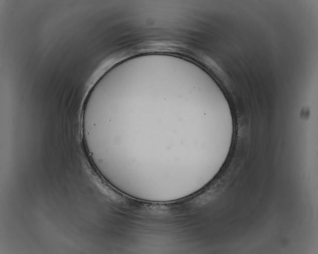 X0000088881370200707061400
