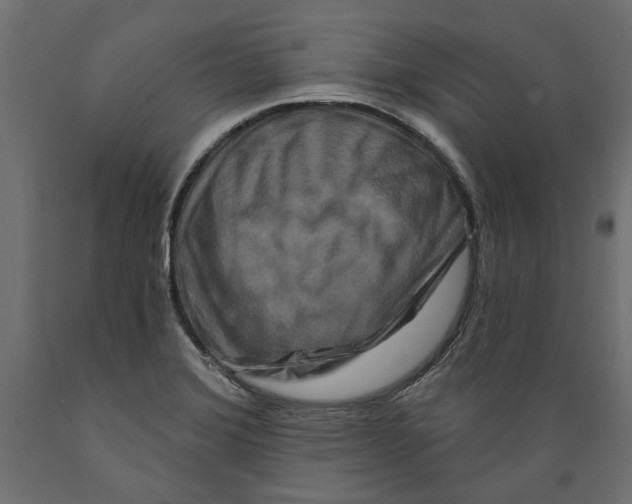 X0000088881372200707061400