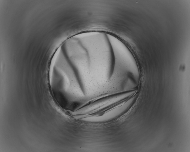 X0000088881374200707061400