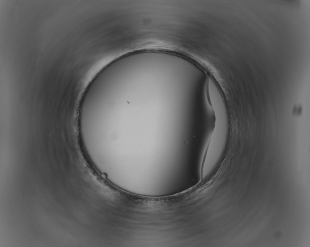 X0000088881375200707061400